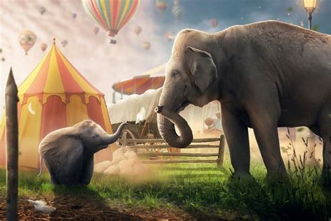 Два слона
 2024.04.26 15:20 мультфильм онлайн.
